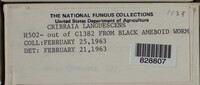 Image Associated With the Occurence
